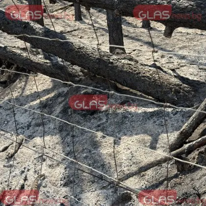 Вижте какво остави след себе си пожара край магистрала "Тракия" СНИМКИ