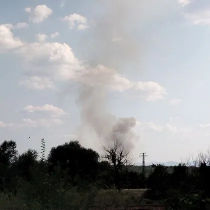 Пожар пламна край Първомай СНИМКА
