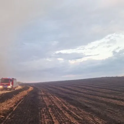 Локализираха големия пожар между Първомай и Брягово, изгорели са близо 3500 декара