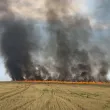 Голям пожар в Асеновградско СНИМКИ