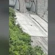 Куче е блокирано на язовирната стена на роден язовир ВИДЕО