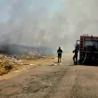 Огнеборци с над 10 пожарни гасят пожара в Асеновградско