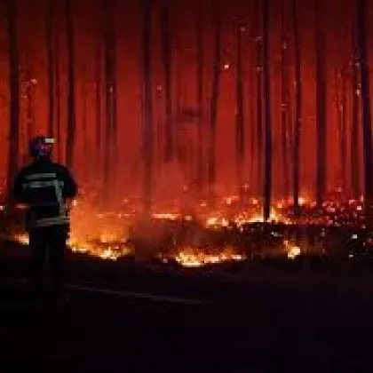 Франция арестува 420 души за пожари: сред тях 166 са непълнолетни
