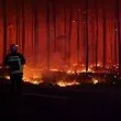 Франция арестува 420 души за пожари: сред тях 166 са непълнолетни