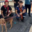 Пожарникари проведоха рискова акция заради бедстващото в язовир куче СНИМКИ