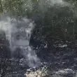 Туристи спасиха Петрова нива от пожар: проверяват версия за човешка намеса