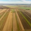 &bdquo;Ел Ниньо" заплашва реколтите, но пазарът е по-устойчив от всякога