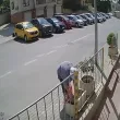 Три пъти вече отмъкват лавандула, засята в саксия на тротоара ВИДЕО