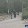 Полицаи с кучета обикалят Младежкия хълм в Пловдив СНИМКА