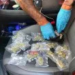 Съдът реши за софиянеца, заловен с много дрога и 4-месечното си бебе си в кола