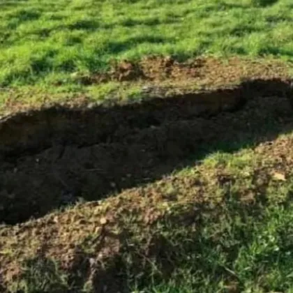 Нови подробности за отвлечената млада жена в Търновско
