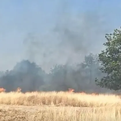 Нов огромен пожар лумна край Козлодуй ВИДЕО