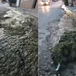 "Блато" в центъра на Леденик: Постоянен теч и жабурняк тормозят великотърновското село