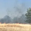 Нов огромен пожар лумна край Козлодуй ВИДЕО