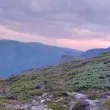 Отровиха пет лешояда в Национален парк Централен Балкан СНИМКИ 18+