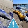 Умишлено повредиха съоръжения в аквапарк във Варна