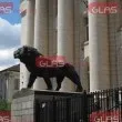 Върнаха в ареста началника на ВиК в Несебър