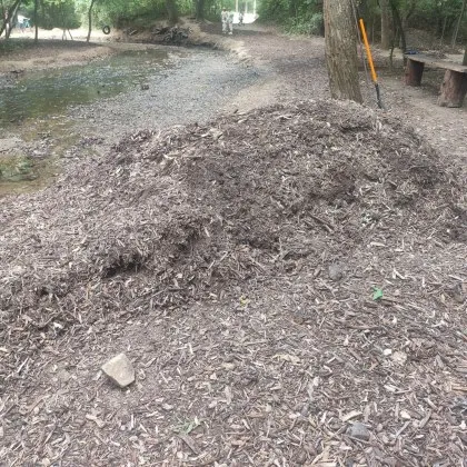 Пластмаса и боклуци в новия &bdquo;мулч": Кой контролира какво се случва в &bdquo;Стрелбище"?