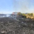 Близо 10 пожарни гасят огнената стихия край Асеновград СНИМКИ