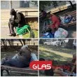 Подминатите: Тя просеше на стълбите. Няколко часа по-късно беше мъртва ВИДЕО