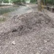 Пластмаса и боклуци в новия &bdquo;мулч": Кой контролира какво се случва в &bdquo;Стрелбище"?