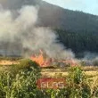 Огромен пожар между Розино и Кърнаре, пламъците са на крачка от гората СНИМКИ