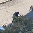 Тревожна гледка в София: Мъж в "зомби" поза се клатушка на улица ВИДЕО
