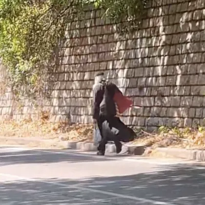 Пътят му е един, причината - загадка: Мълчаливият монах край Бачково ВИДЕО