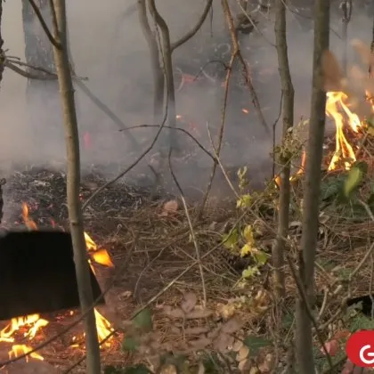 Локализираха пожара край АМ "Тракия"
