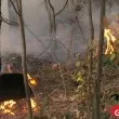 Локализираха пожара край АМ "Тракия"