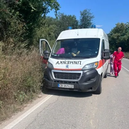 Стършел ужили мъж на пътя за Варна, Спешна помощ го пресрещна за минути СНИМКИ