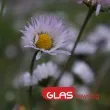 До 37 градуса днес, на места валежи и градушки