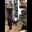 ВИДЕО от автобуса: Секунди на ужас, преди да полети от мост в Китай