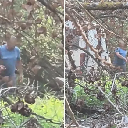 Мъж извърли животински останки в река Стряма край Баня ВИДЕО