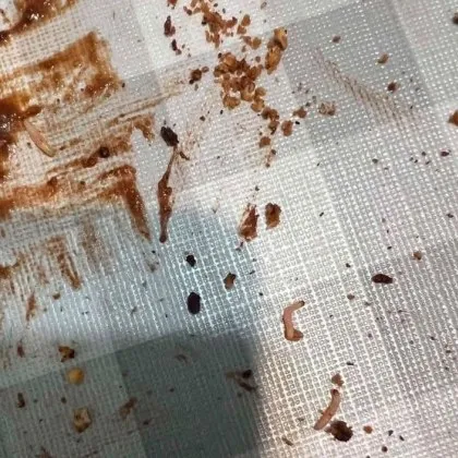 Усещам го как ми мърда в устата: Червеи пропълзяха от куки, купено в Пловдив ВИДЕО