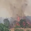 Дете е причинило големия пожар в Хасковско
