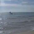 Приводниха самолет на метри от плаж ВИДЕО