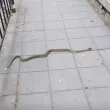 Смок се разходи пред входа на училище ВИДЕО