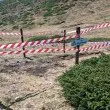 Премахнаха останките от животното, използвано като примамка за изтровените лешояди