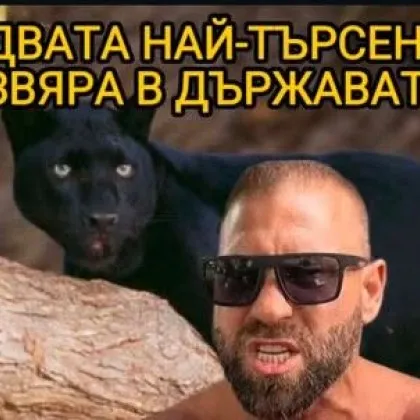 &bdquo;Пълна пародия": Как Стоян Колев, Прокурорският син и черната пантера преобърнаха страната