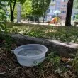 Момиче осуети предполагаем опит за отравяне на бездомни животни в Стара Загора