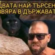 &bdquo;Пълна пародия": Как Стоян Колев, Прокурорският син и черната пантера преобърнаха страната