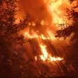 Задържаха българи за пожар край Кавала