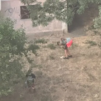 &bdquo;За да са сигурни, че е мъртво": Жесток случай с животно потресе Бургас