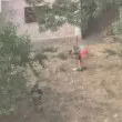&bdquo;За да са сигурни, че е мъртво": Жесток случай с животно потресе Бургас