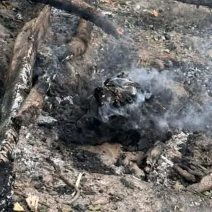 Деца запалиха малък пожар в Борисовата градина и избягаха, минувачи гасиха огъня СНИМКИ