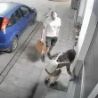 &bdquo;Ама той е пълен": Чужд пепелник, една чанта и морални терзания във Велико Търново ВИДЕО