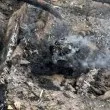 Деца запалиха малък пожар в Борисовата градина и избягаха, минувачи гасиха огъня СНИМКИ