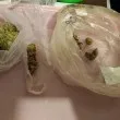 Хванаха две дилърки, клиент и роднина на едната в Стара Загора СНИМКИ