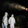 Западнонилската треска настъпва в Гърция: 232 потвърдени случая, 19 души са починали